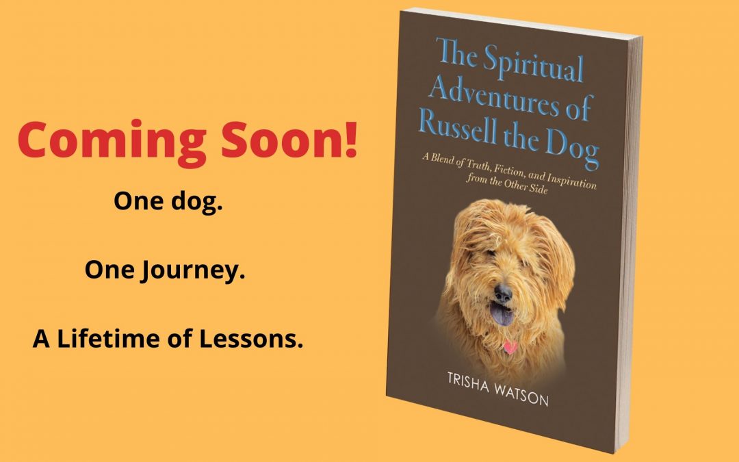 Cover Reveal: The Spiritual Adventures of Russell the Dog